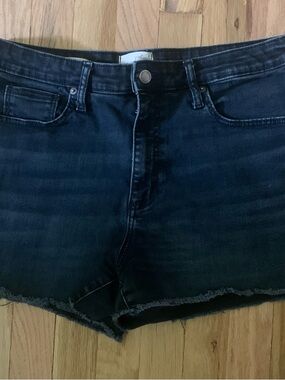Universal Thread Dark Wash Denim Jean Shorts